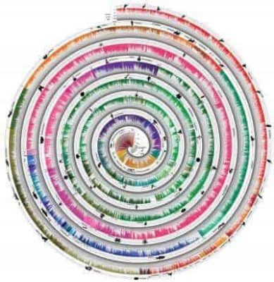 Grand Tree Of Life Study Shows A Clock Like Trend In New Species