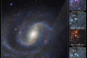 The main image at left shows a combined Webb and Hubble view of spiral galaxy NGC 1637, with the region of interest in the top right. The remaining three panels show a detailed view of a red supergiant star before and after it exploded. The star is not visible in the Hubble image before the explosion, but appears in the Webb image. The July 2025 view from Hubble shows the glowing aftermath of the explosion.