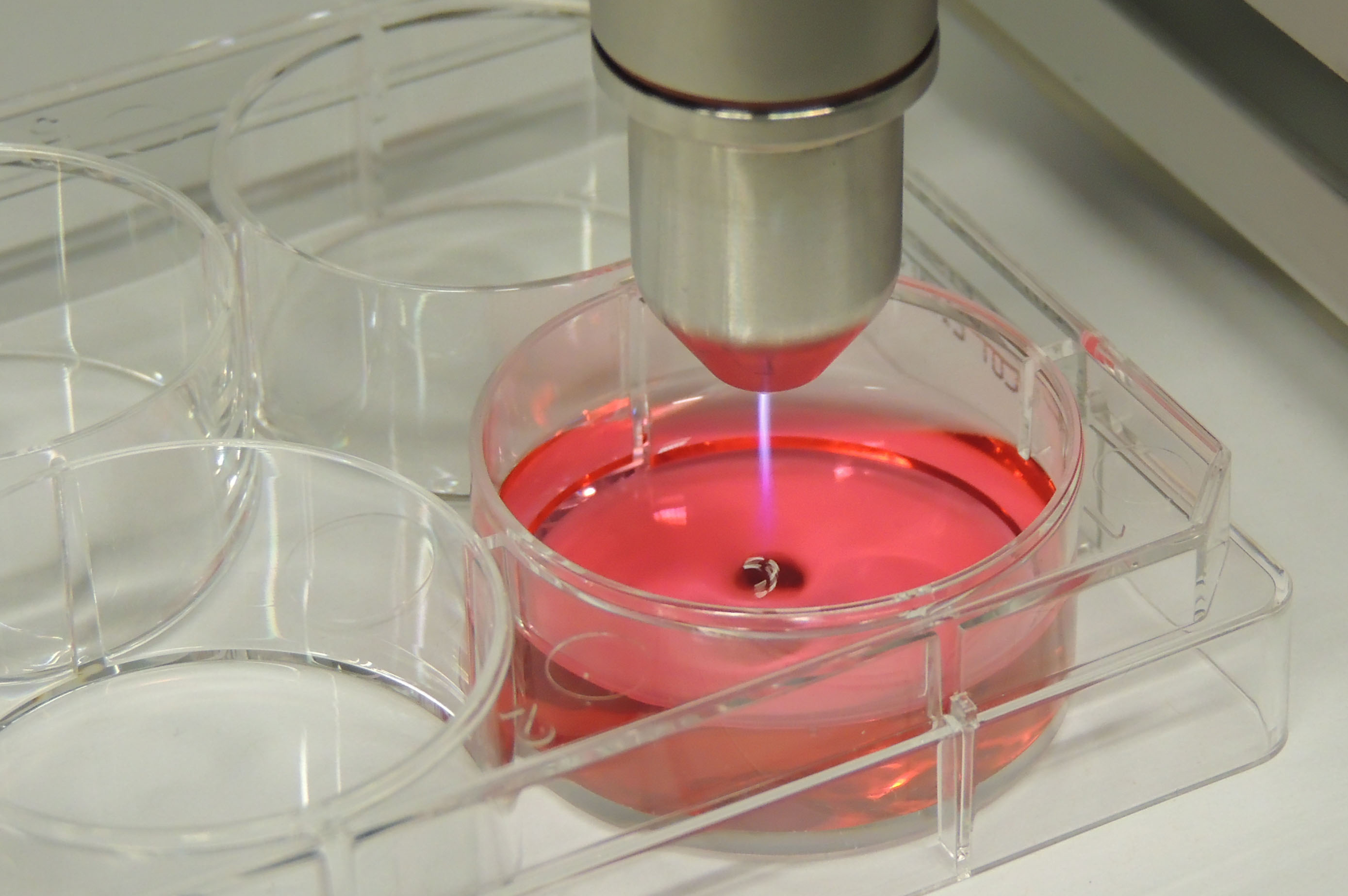 Liquids activated by plasma have similar anti-cancer properties as cold plasma, researchers have found.