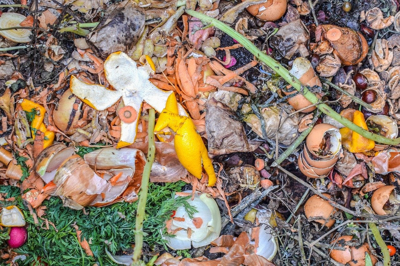 Millions of tonnes of organic waste are currently dumped in landfill, where it decomposes and gives off greenhouse gases. Image credit - Pixabay/Ben_Kerckx, licenced under Pixabay licence