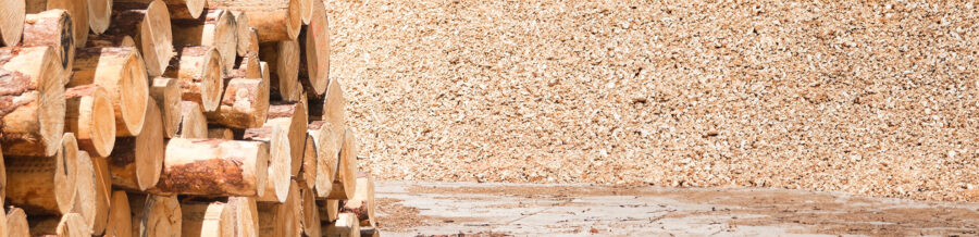 Repurposing wood waste for a clean, green alternative to fossil-based chemicals