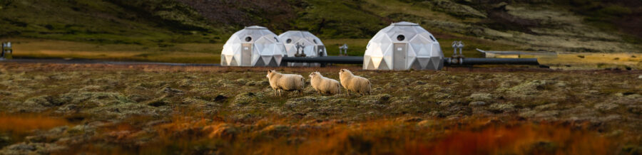 Bore domes in Iceland, where captured CO₂ is mixed with water before being injected deep underground. © Carbfix, Gunnar Freyr