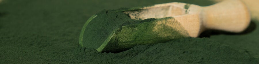 Microalgae can now be grown at scale and turned into components for food and industry. © yanishevska, Shutterstock.com