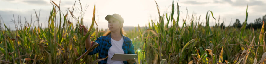EU-funded networks are helping highlight the important role of women in farming and rural life. © Zoteva, Shutterstock.com