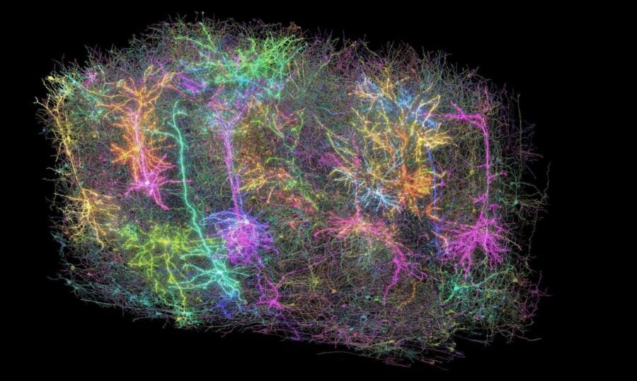 This image displays a small sample of the 120,000 neurons mapped by the MICRONS project. Each neuron is shown in a different random color. Some neurons appear to glow, symbolizing that functional activity was recorded from those specific cells.