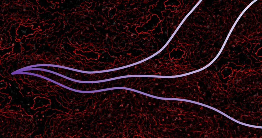 Light rays are propagating smoothly through a noisy, high-dimensional space in this artist’s impression. The new ray tracing algorithm improves on previous methods by better averaging information over trajectories, making it many orders of magnitude faster for quantifying uncertainties in large neural networks.