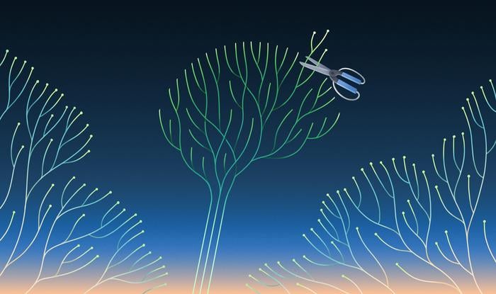 ML technique "prunes" the model, to make it more compact.