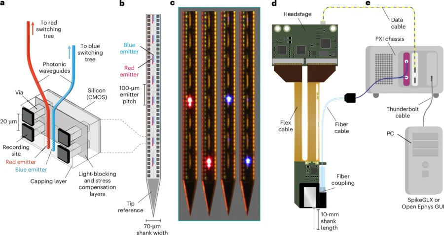 Figure 1. Neuropixels Opto probe design and system architecture. a, Probe Cross-Section: Shows the titanium nitride (TiN) recording sites connected to the silicon CMOS layer, alongside silicon nitride (SiN) waveguides that guide light to the emitters. b, Layout: Placement of the recording sites and two-color light emitters on the probe. c, Emitter Photos: The probe shank with two red and two blue emitters lighting up in sequence. d, Packaging: The fully assembled device package. e, System Architecture: The data system, featuring PXI modules for recording data (white) and controlling light delivery (purple).