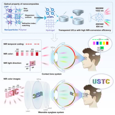Graphical abstract