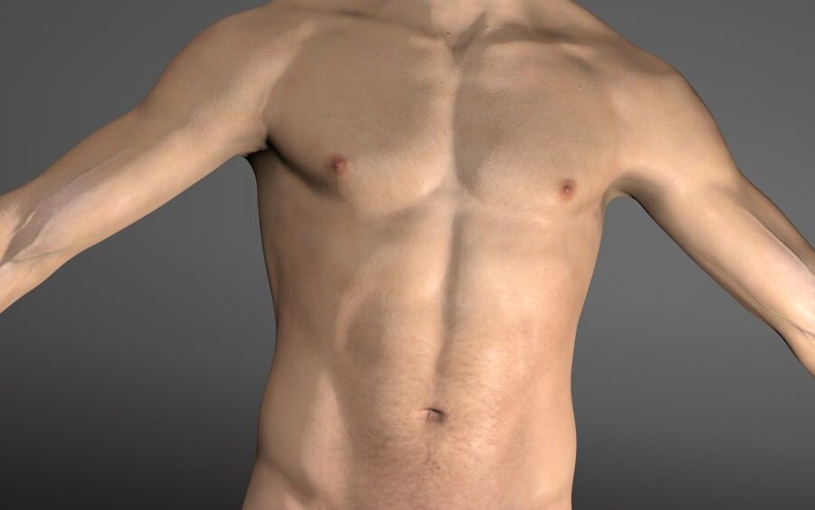a man's chest and abdomen