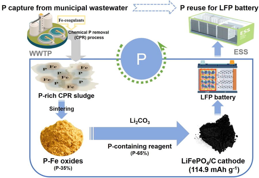 graphical abstract of sludge to phosphorous process