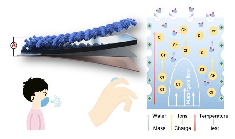 A flexible EIG generates electricity through coupled mass, charge, and heat transfer, making it well suited for wearable devices.