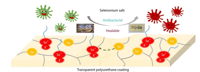 Schematic representation of the preparation process of PUa-C7 Seb+ materials.