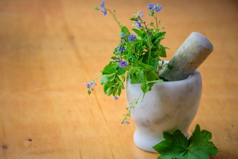 chinese medicine herbs