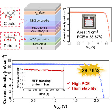 The developed high-performance all-perovskite tandem solar cells