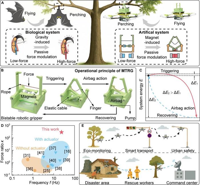 Perching behavior of biological and artificial systems.
