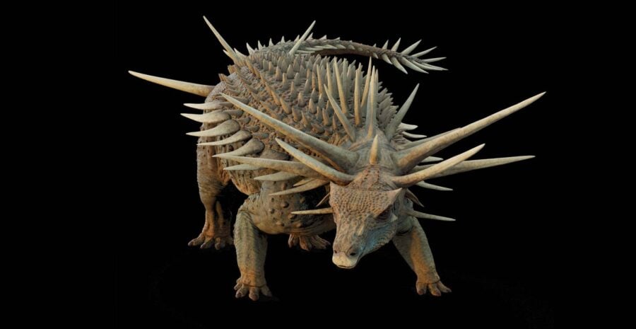 Spicomellus Was a Walking Fortress of Spikes and Armor