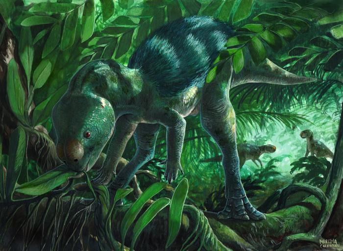 Tiny Dinosaur Rewrites 70 Million Years of Evolution Tiny Dinosaur Rewrites 70 Million Years of Evolution
