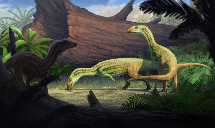 Artist's reconstruction of Sonselasuchus cedrus in its environment in what is now Petrified Forest National Park, 215 million years ago. CREDIT Artwork by Gabriel Ugueto