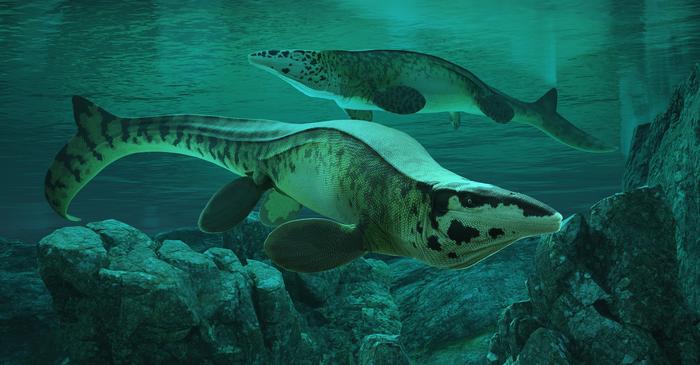 A reconstruction of Tylosaurus rex in the Cretaceous-era Western Interior Seaway of North America