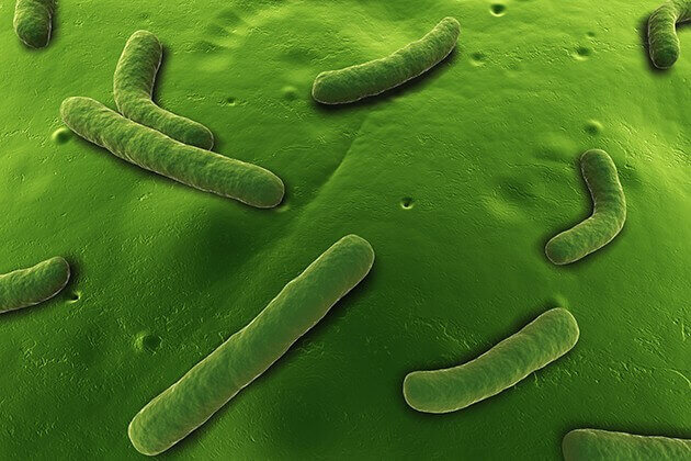 Probing bacterial resistance to a class of natural antibiotics