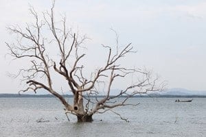 Sea Levels Rising Much Faster than Thought