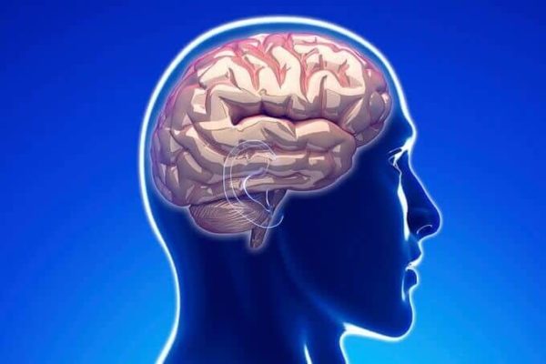 Teen brains facilitate recovery from traumatic memories - ScienceBlog.com