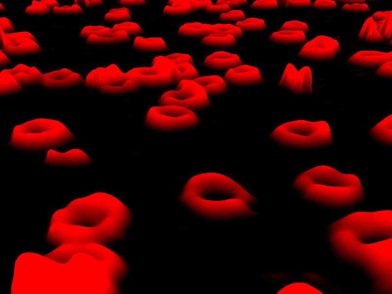 blood cells