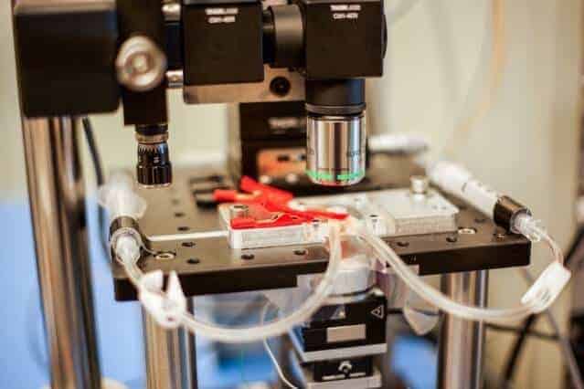 New microscope creates near-real-time videos of nanoscale processes