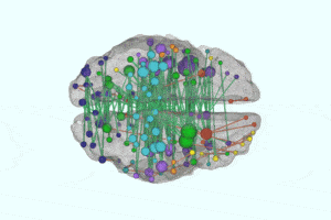 Brain-rotating-around