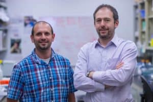 Postdoctoral researcher Anthony J. Filiano, left, and Jonathan Kipnis, chairman of UVA’s Department of Neuroscience. (Photo by Sanjay Suchak, University Communications)