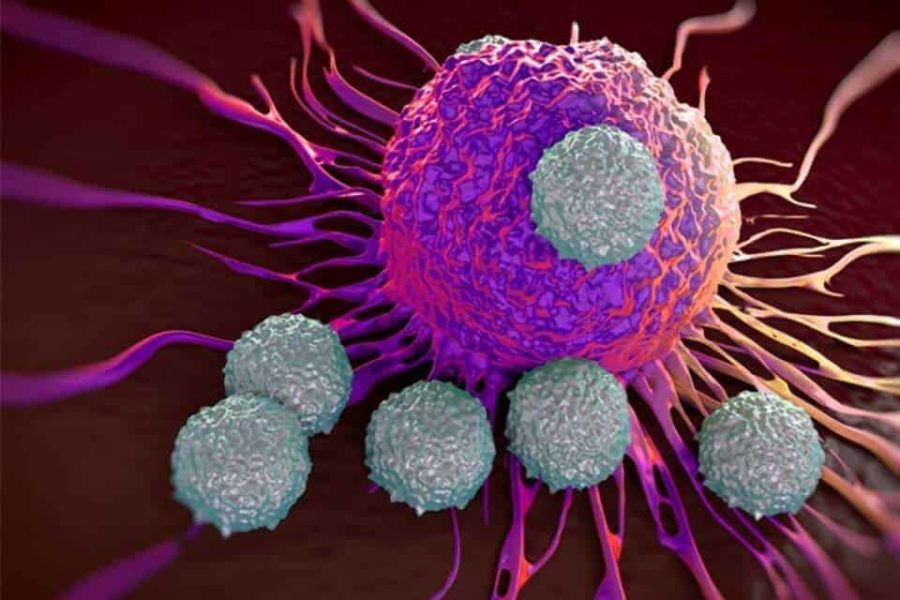 Special T cells that target solid tumors offer potential treatment for pediatric and adult cancers