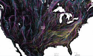 igrations-in-Motion-The-Nature-Conservancy20160826122035