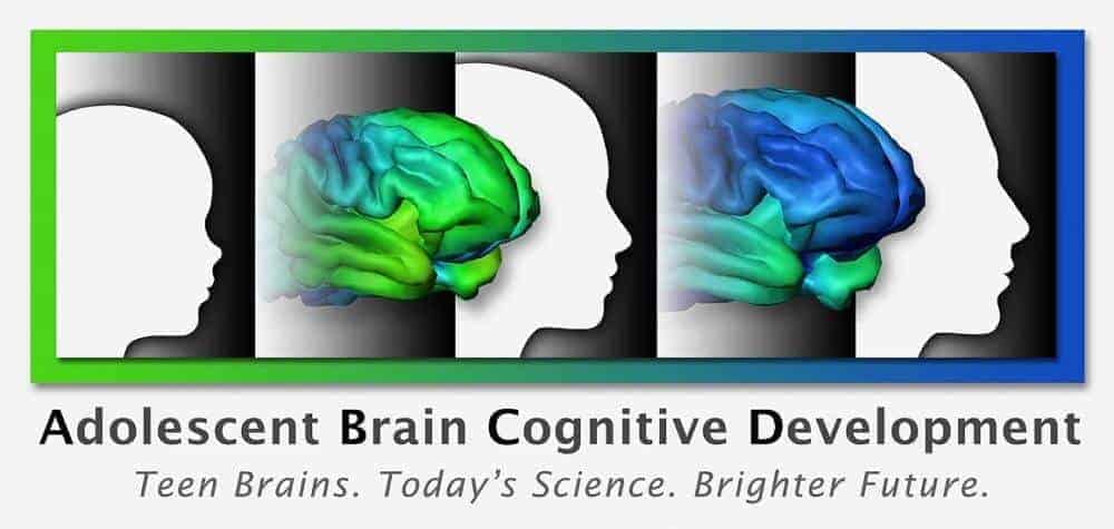 Recruitment Begins For Landmark Study Of Adolescent Brain Development ...