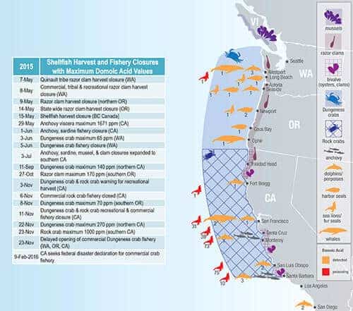 Ocean conditions contributed to unprecedented 2015 toxic algal bloom ...