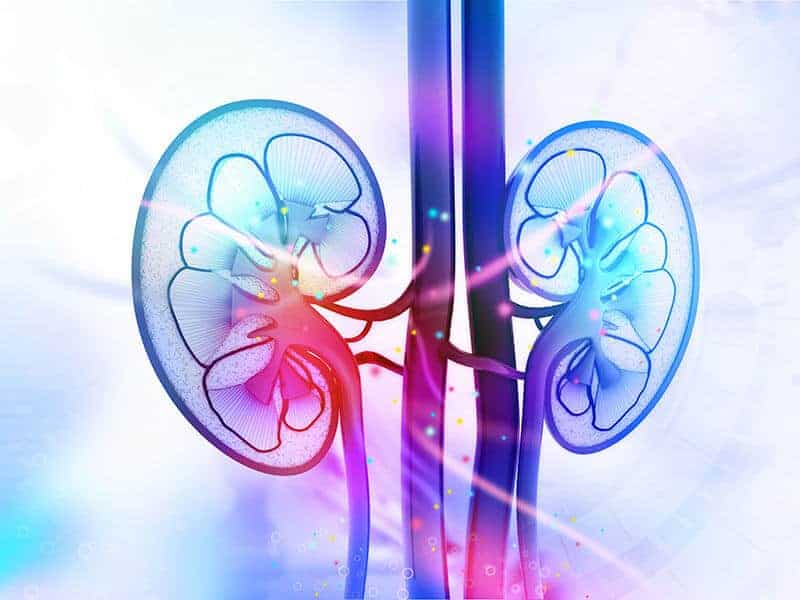 Long-term hormone therapy after menopause may damage kidneys