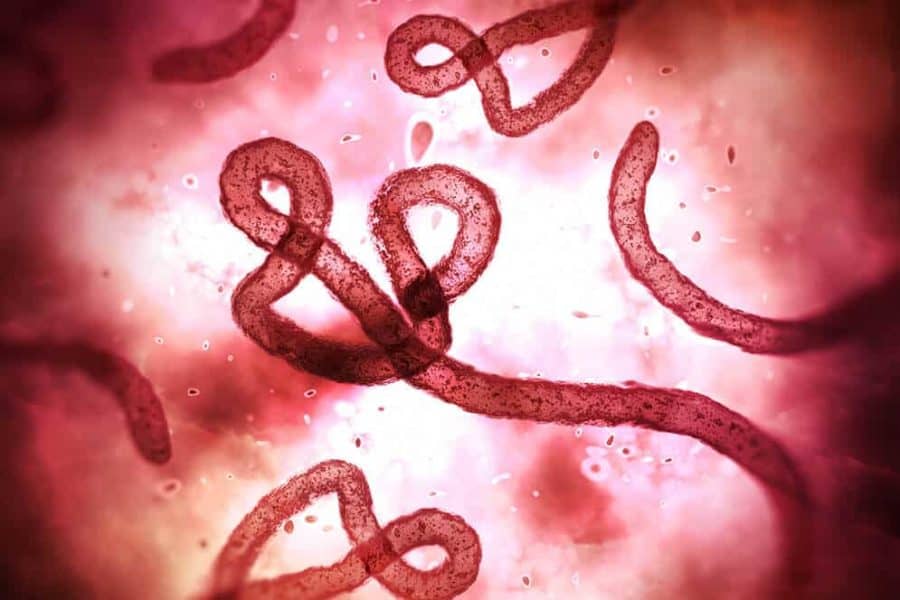 Blood Test May Predict Who Lives or Dies with Ebola
