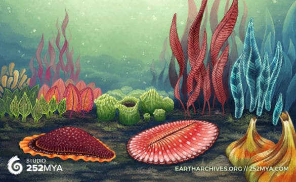 Life in the Precambrian may have been much livelier than previously thought