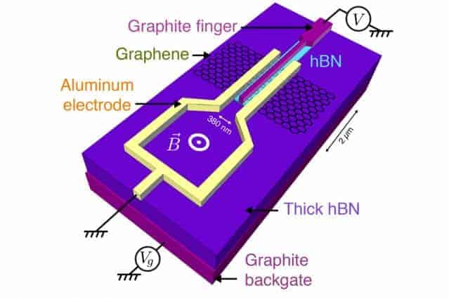 Sandwiched between superconductors, graphene adopts exotic electronic states