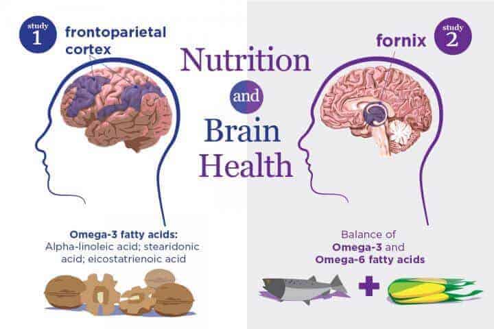 Studies link healthy brain aging to omega-3 and omega-6 fatty acids in the blood