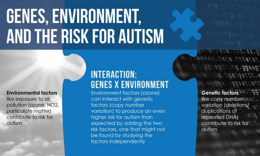 Increased risk for autism when genetic variation and air pollution meet