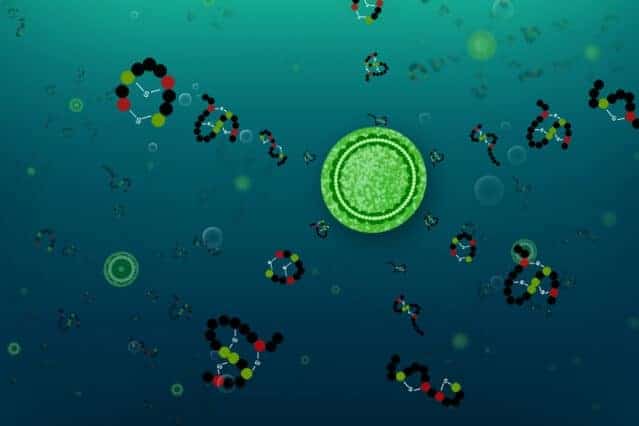 Microbe generates extraordinarily diverse array of peptide