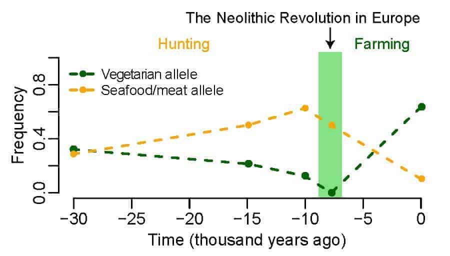 Modern European genes may favor vegetarianism