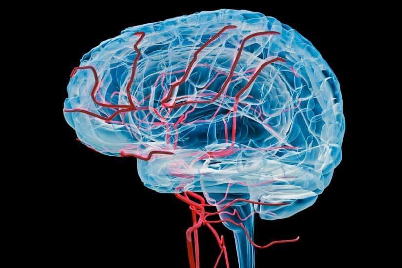 Stiff vessels, low blood flow in the brain forewarn of dementia
