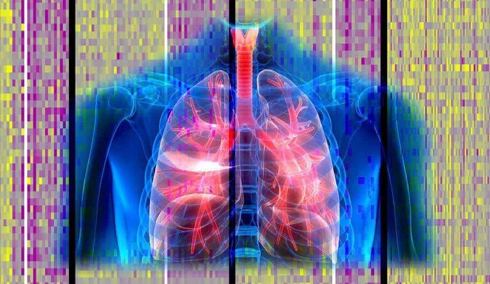 Lung cancers in some African-Americans and European-Americans may have ...