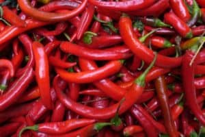 Chili pepper anti-obesity drug promising in animal trials
