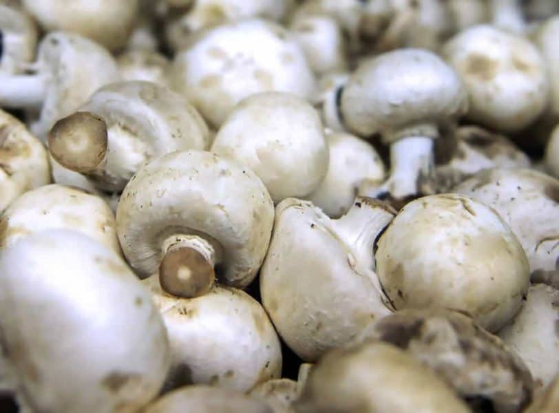 white button mushrooms