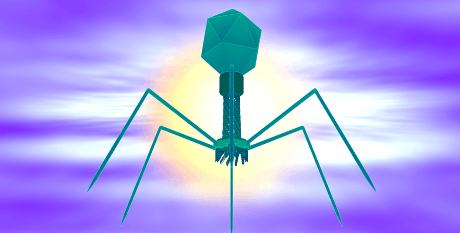 Phages kill dystentery-causing bacteria and reduce virulence in surviving bacteria
