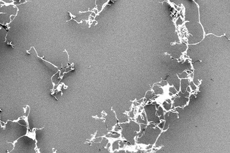 Anti-obesity nanofiber food additive