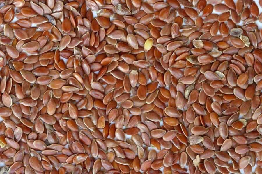 Flaxseed fiber ferments in gut to improve health, reduce obesity